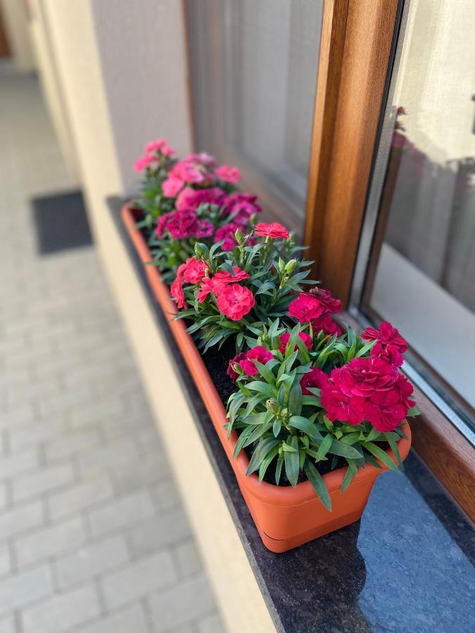 Giadda Rooms Borşa Exterior foto